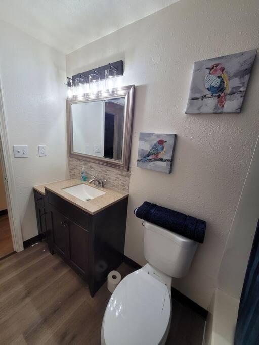 Newly Remodeled Relaxing Stay Near Downtown 费尔班克斯 外观 照片
